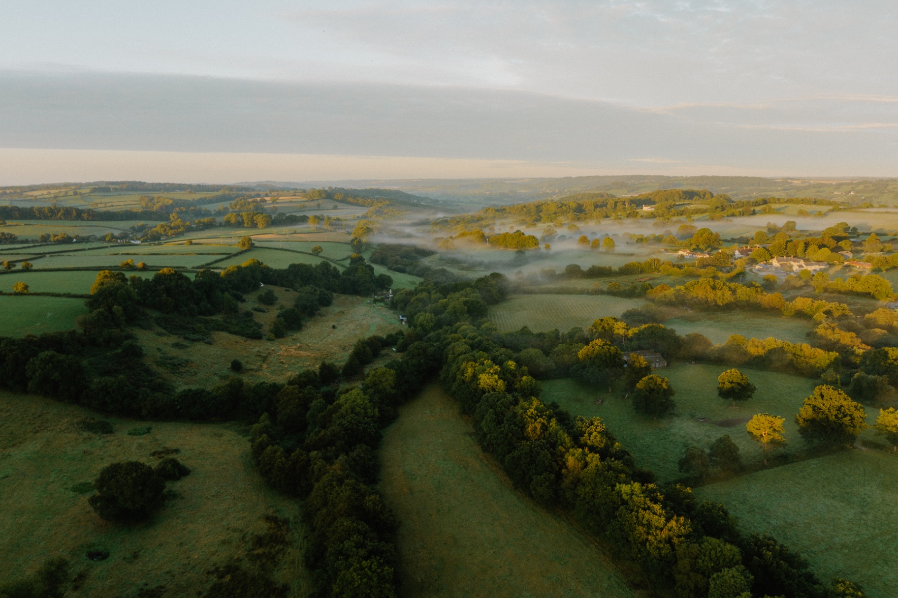 Misty Blackdown Hills pasture at sunrise